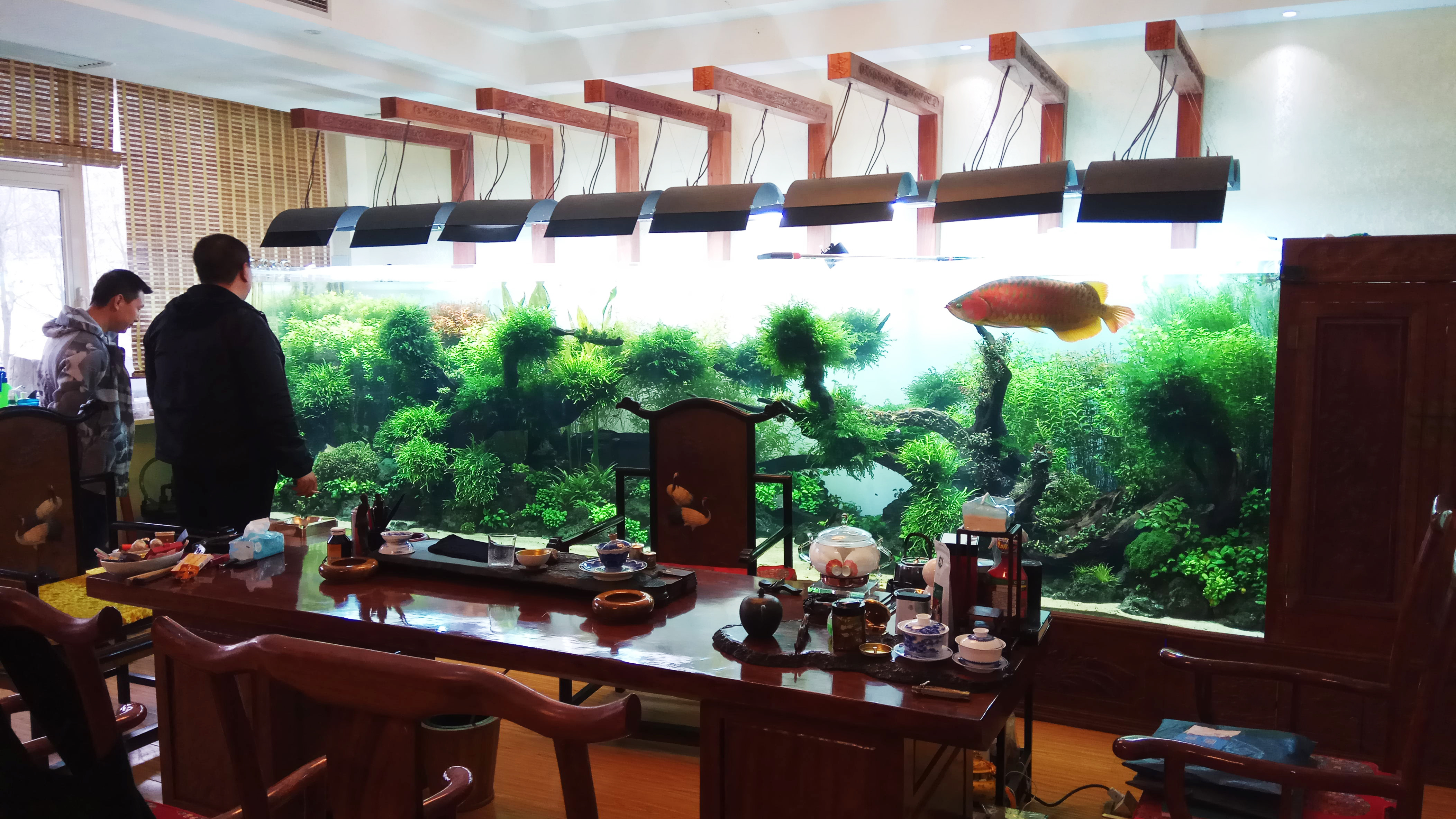 Aquariums Fish Tanks