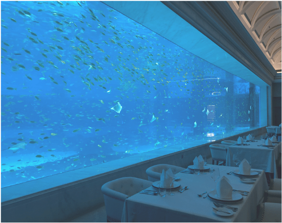 Acrylic window aquarium - LEYU ACRYLIC