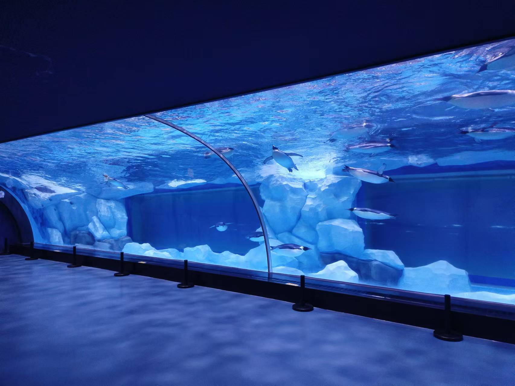 Acrylic window aquarium - LEYU ACRYLIC