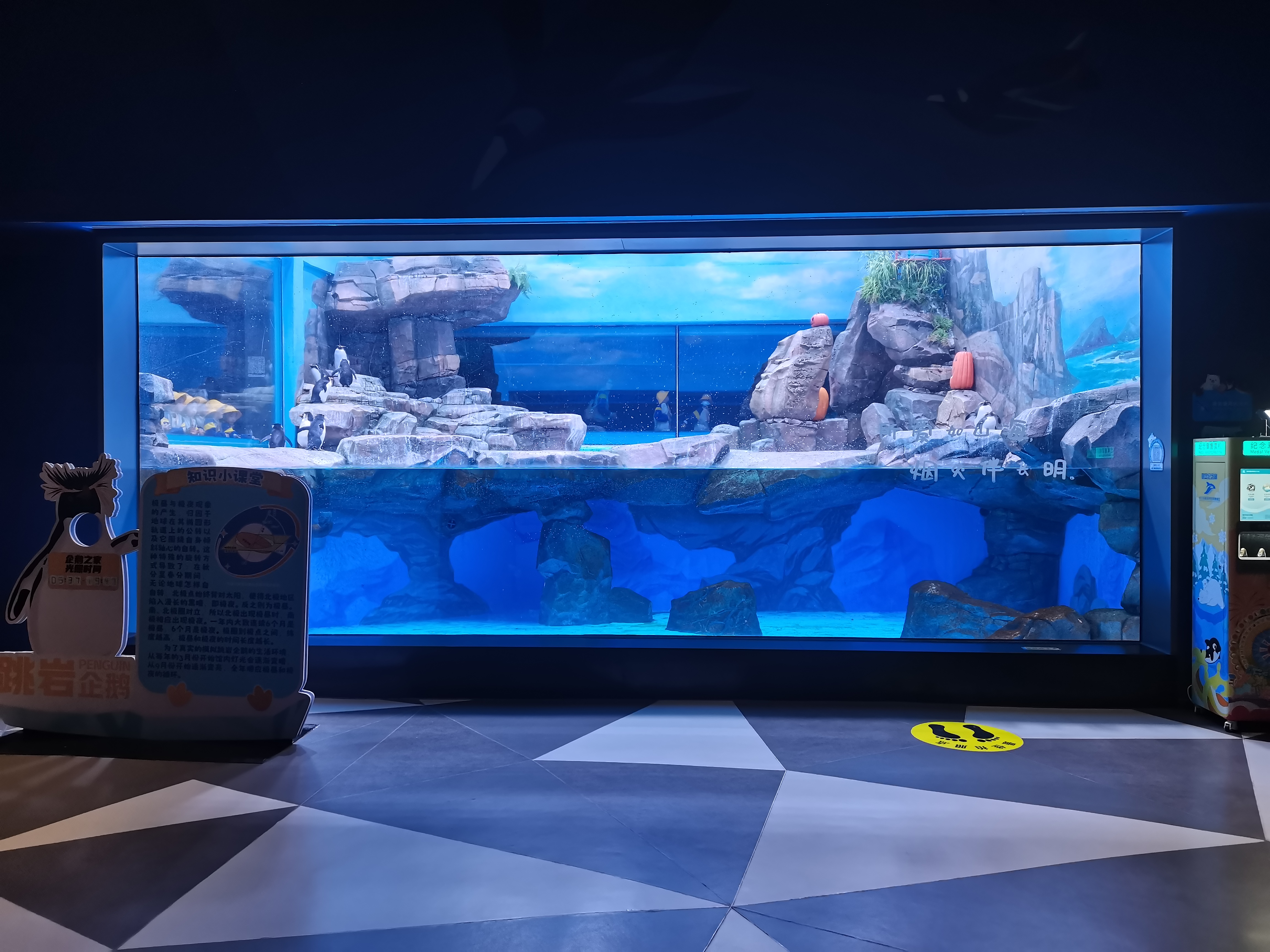 Acrylic window aquarium - LEYU ACRYLIC