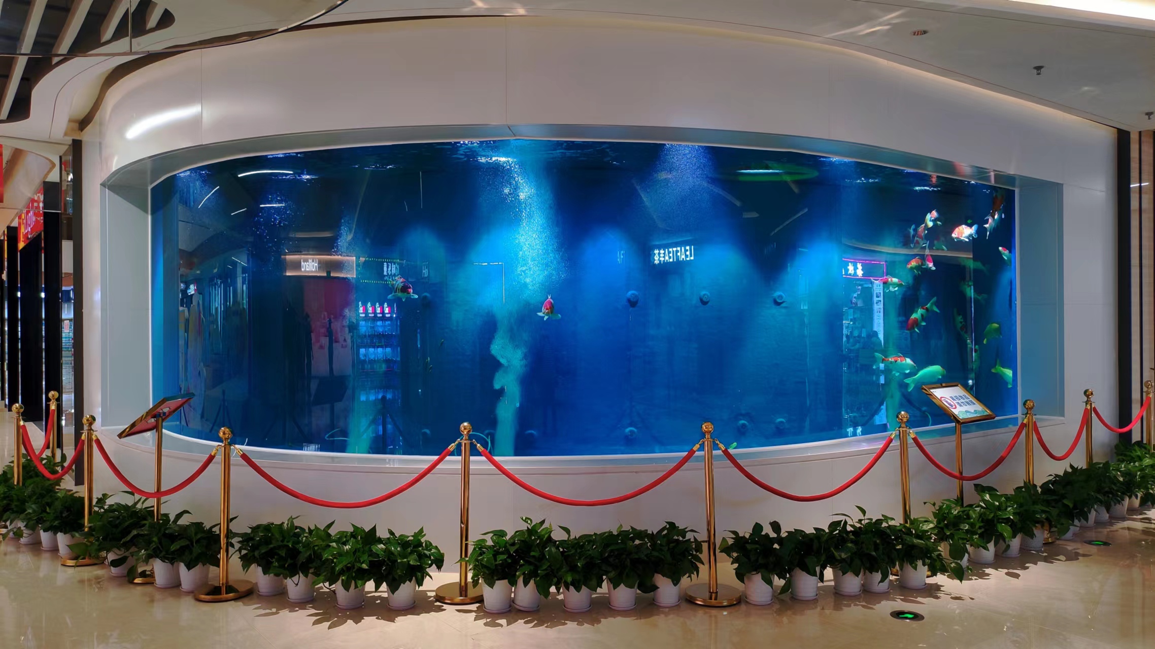 Custom acrylic fish tank - LEYU