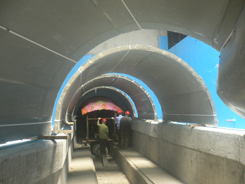 Hefei Hanhai Polar Ocean World - Leyu Aquarium Tunnel (5)