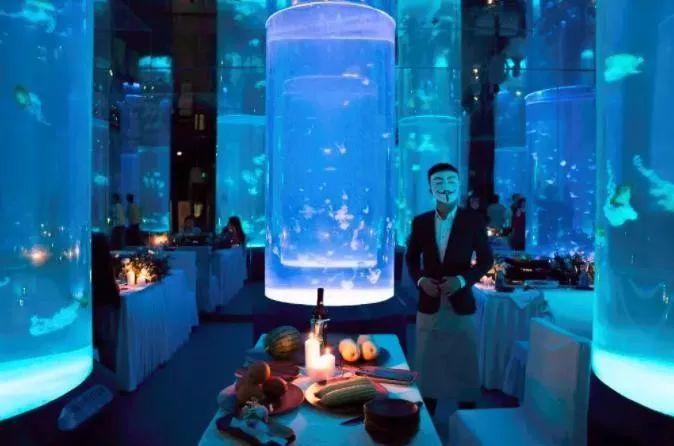 Jellyfish Aquarium