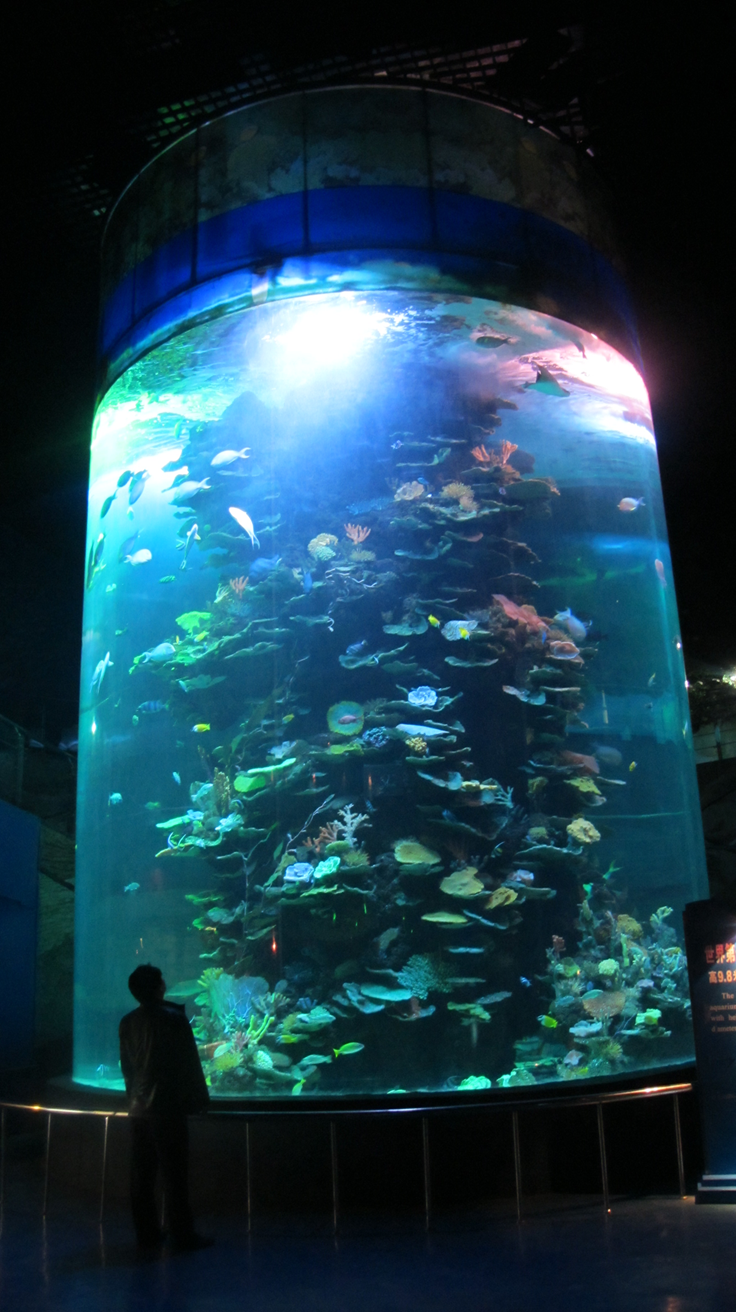Shandong Penglai Underwater World - Leyu Arylic Cylindrical Aquarim Shandong Penglai Underwater World - Leyu Arylic Cylindrical Aquarim