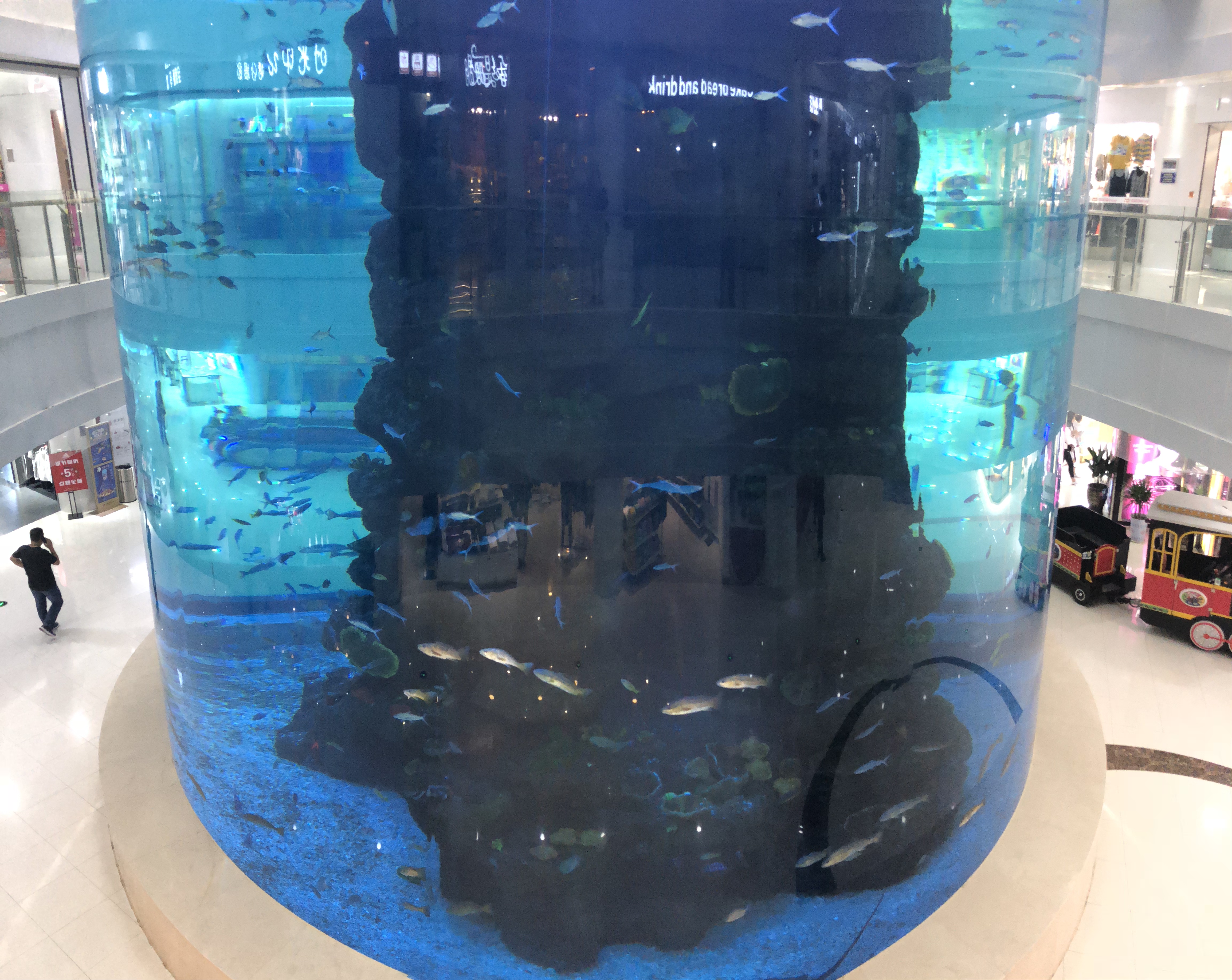 Acrylic cylinder aquarium - LEYU