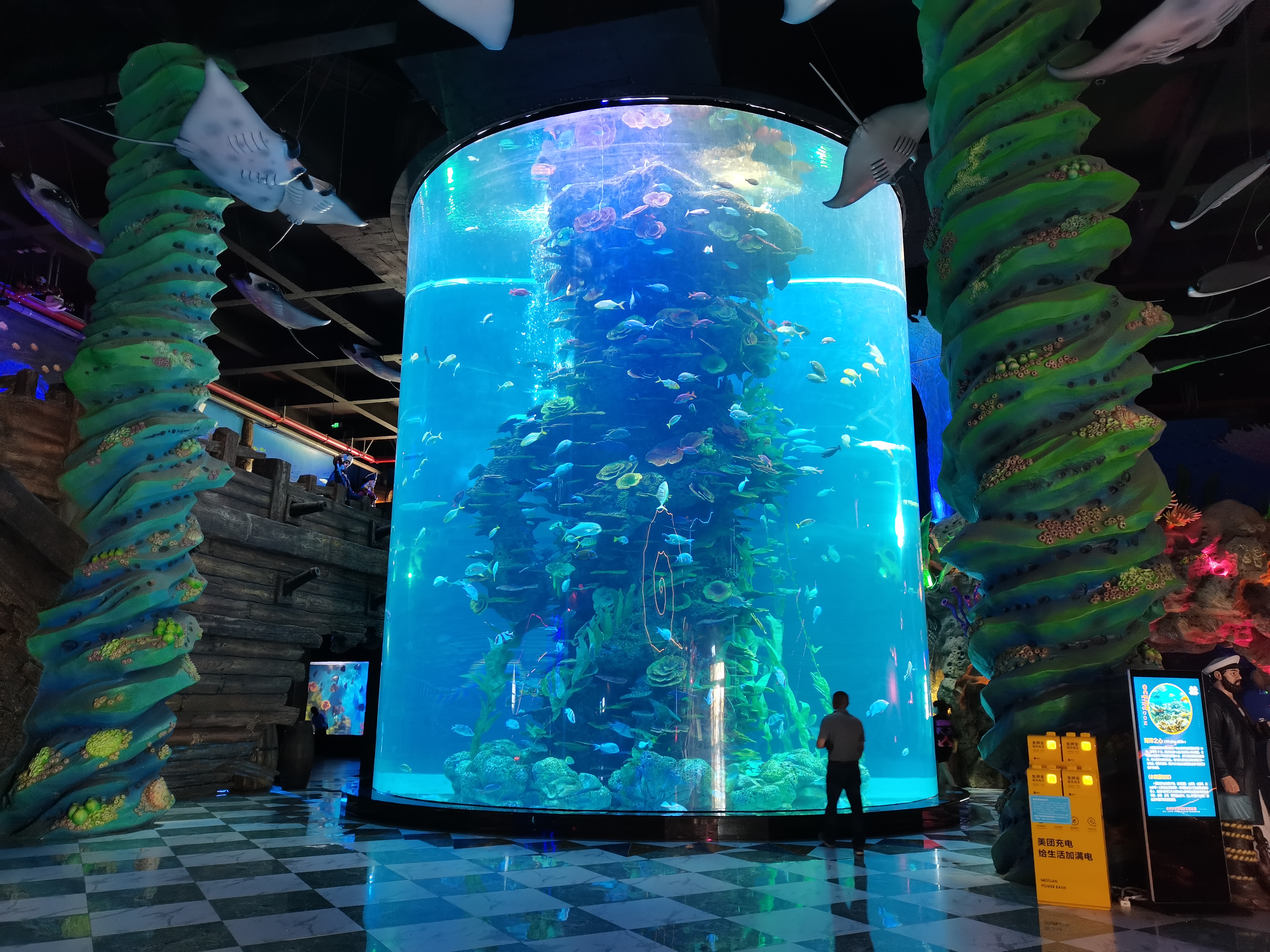 Custom acrylic fish tank - Manufacture