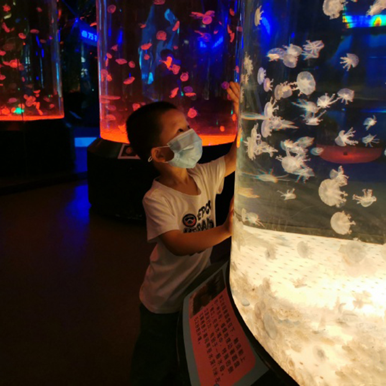  Leyu acrylic aquarium factory