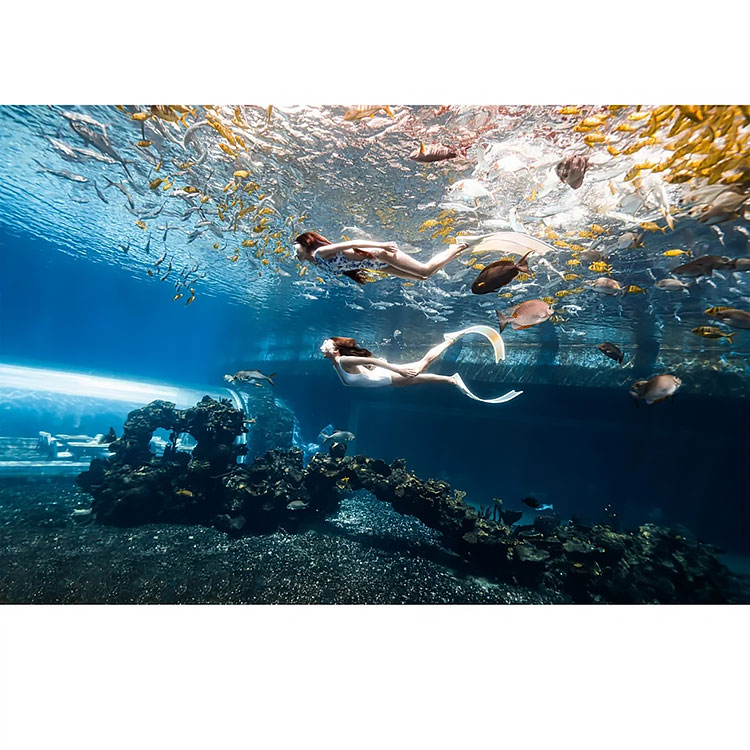 acrylic aquarium acrylic aquarium