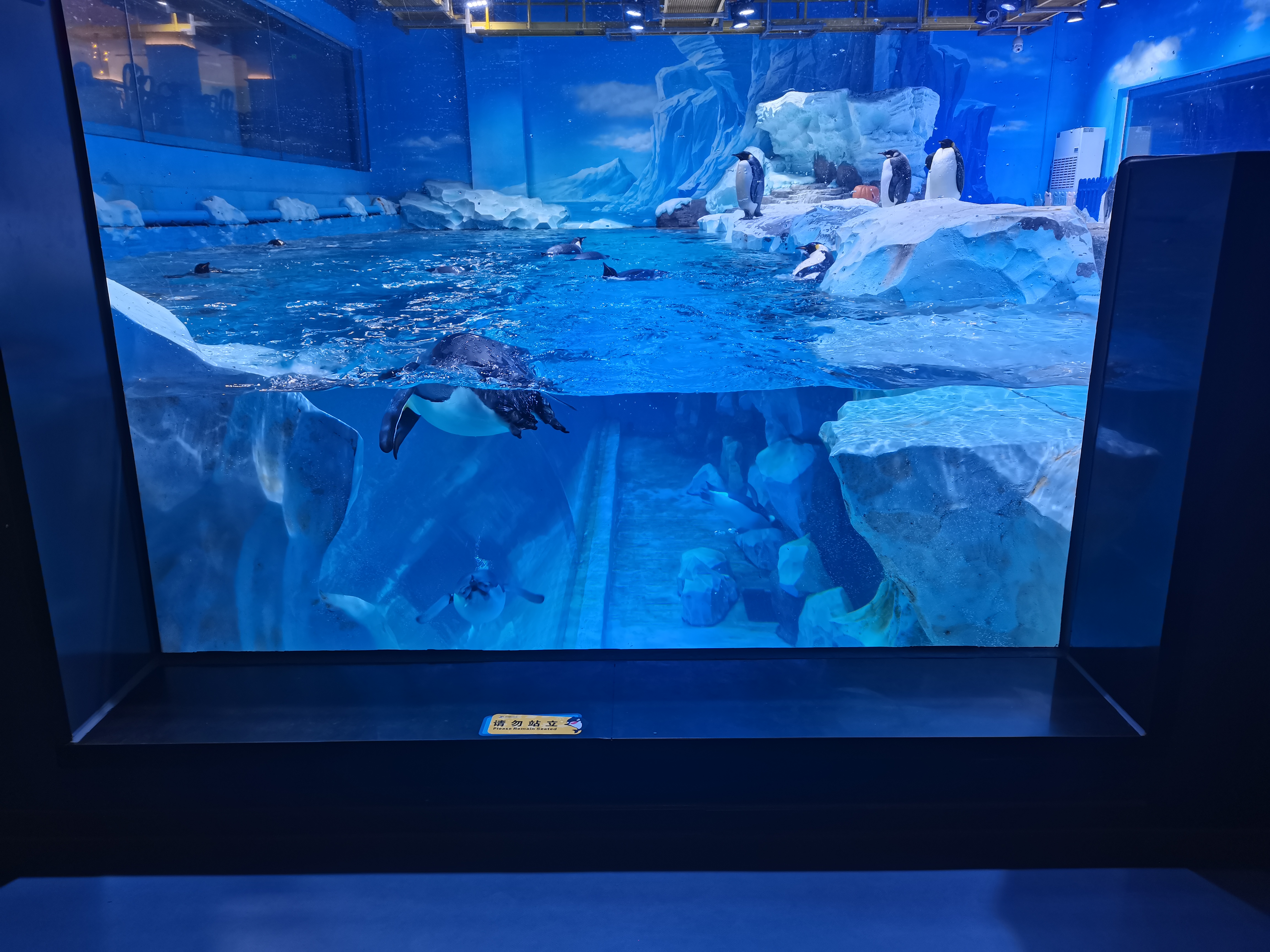 Acrylic window aquarium - LEYU ACRYLIC