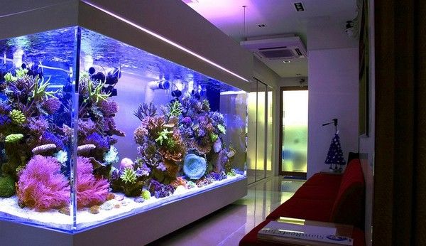 Custom acrylic fish tank - LEYU