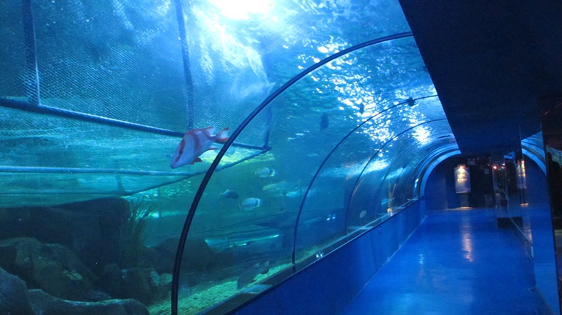 Shandong Penglai Underwater World - Leyu Aquarium Tunnel