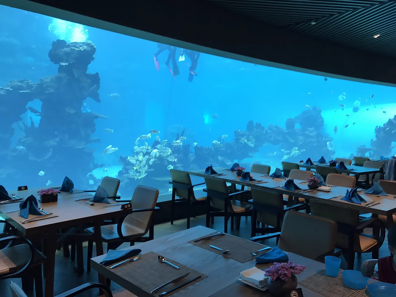 Acrylic window aquarium panel - LEYU