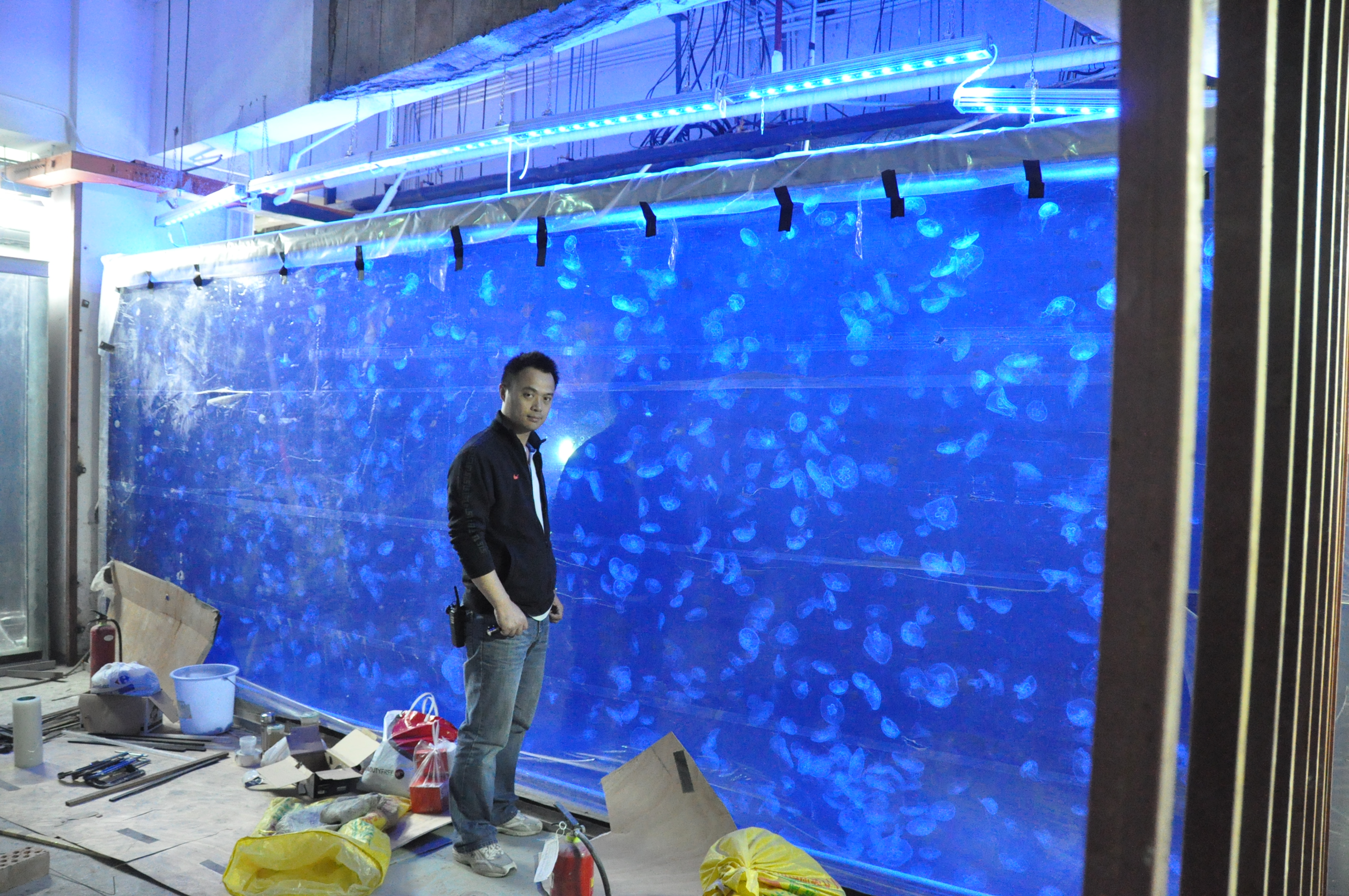 Acrylic custom fish tank - Installation
