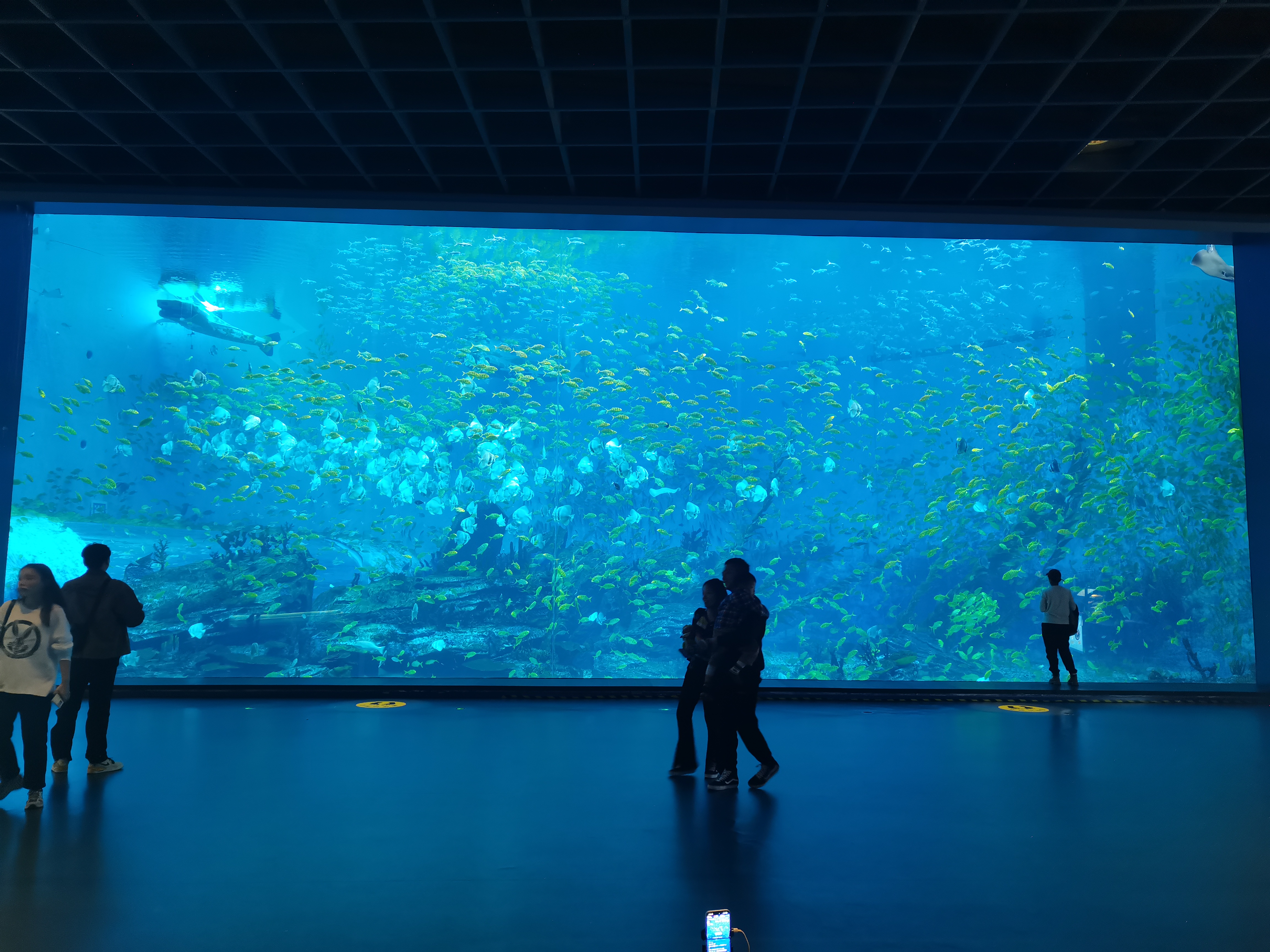 Acrylic window aquarium - LEYU ACRYLIC