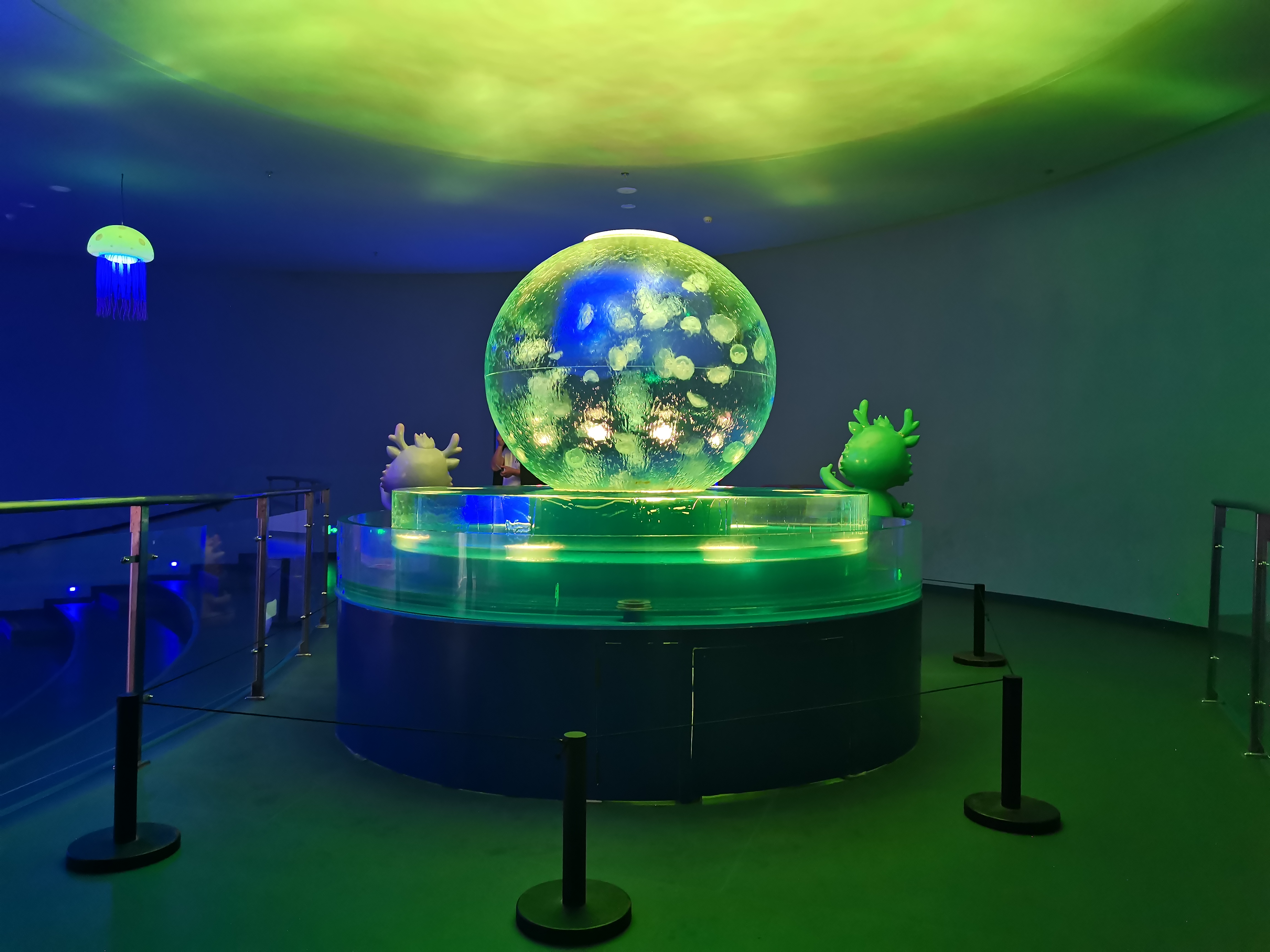 Acrylic jellyfish tank - LEYU