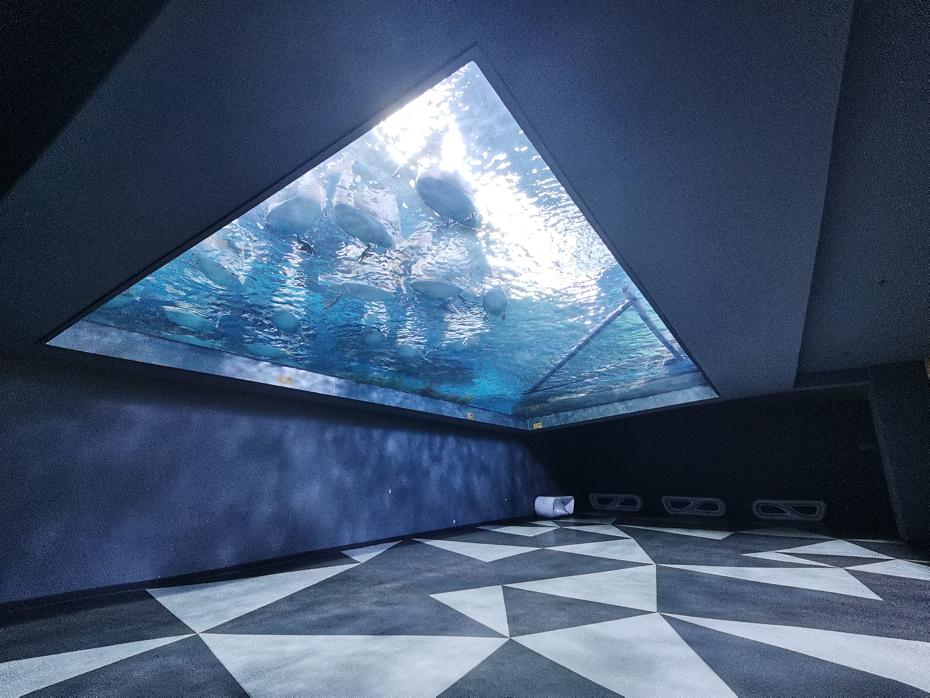 Acrylic window aquarium - LEYU ACRYLIC