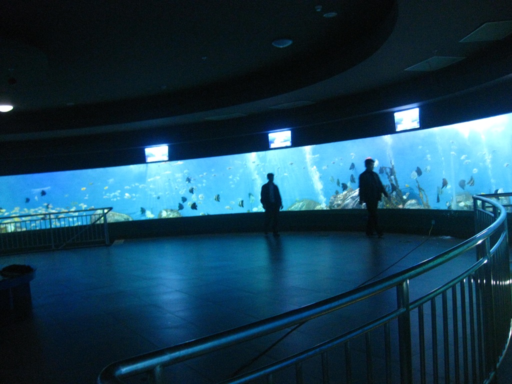 Leyu Aquariums Acrylic Window (4)