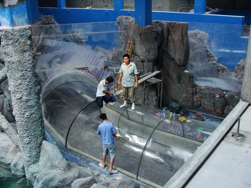 Hefei Hanhai Polar Ocean World - Leyu Aquarium Tunnel (3)
