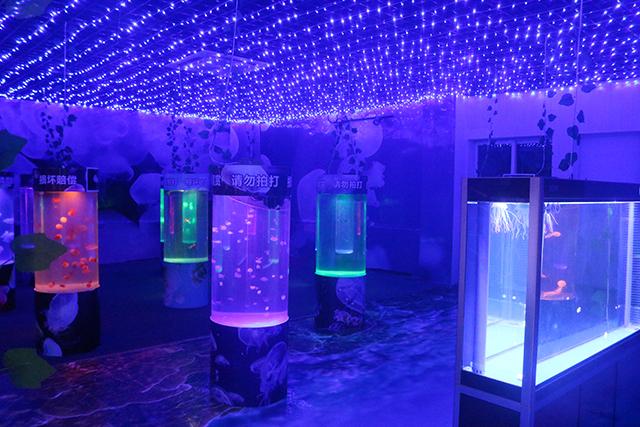 Nanjing Jellyfish Aquarium