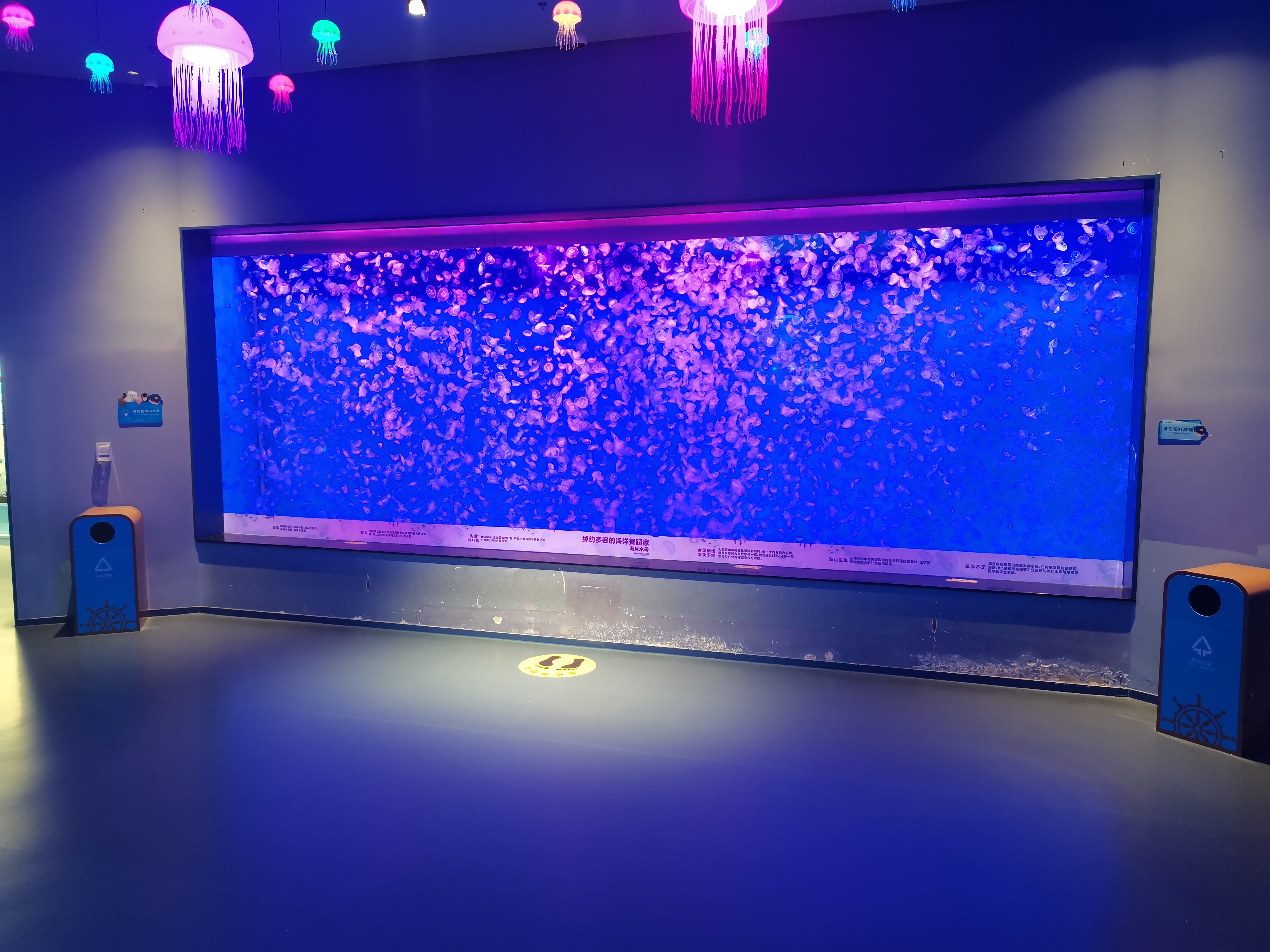 Acrylic fish tank - LEYU