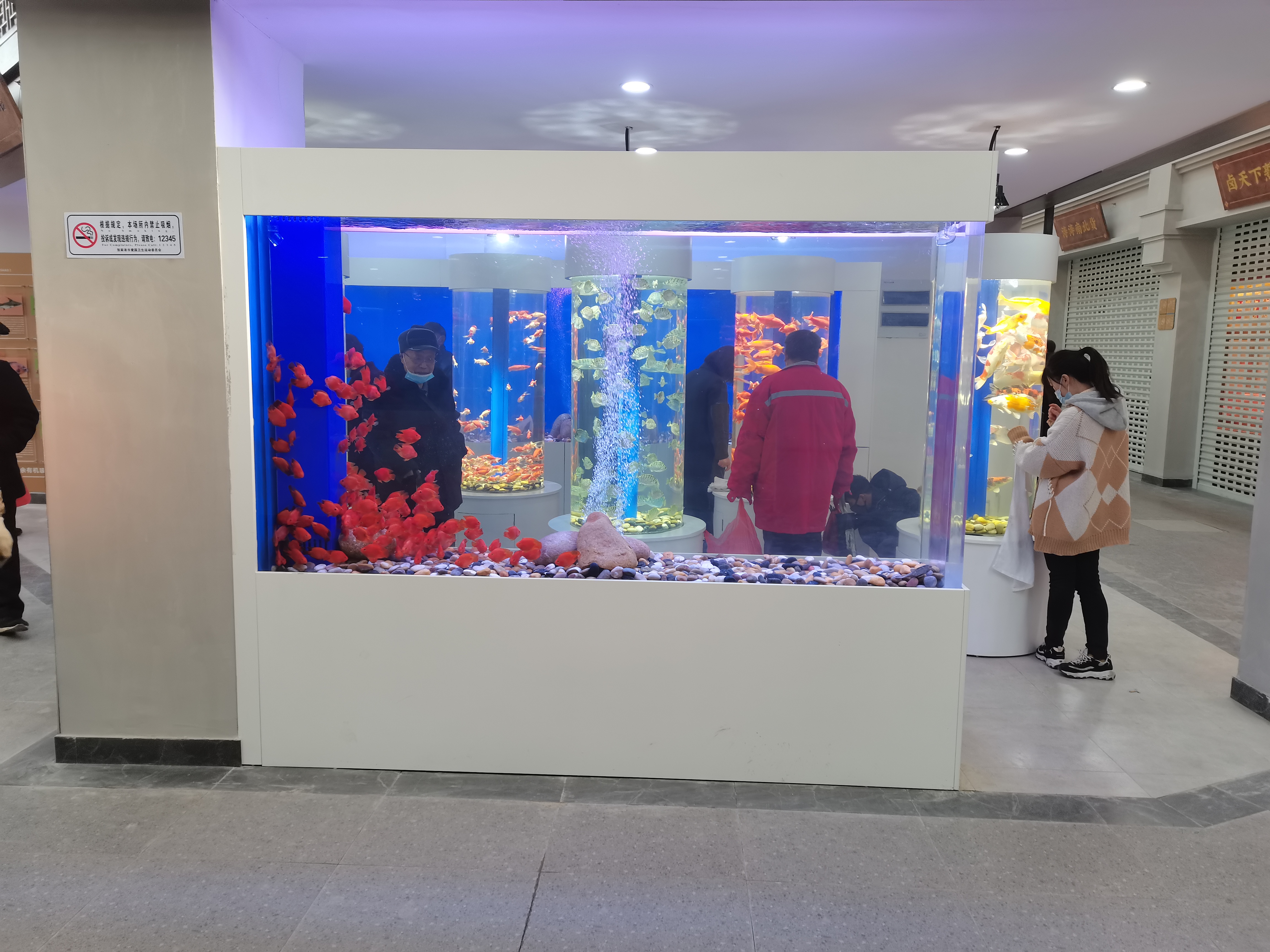 Acrylic fish tank aquarium - LEYU