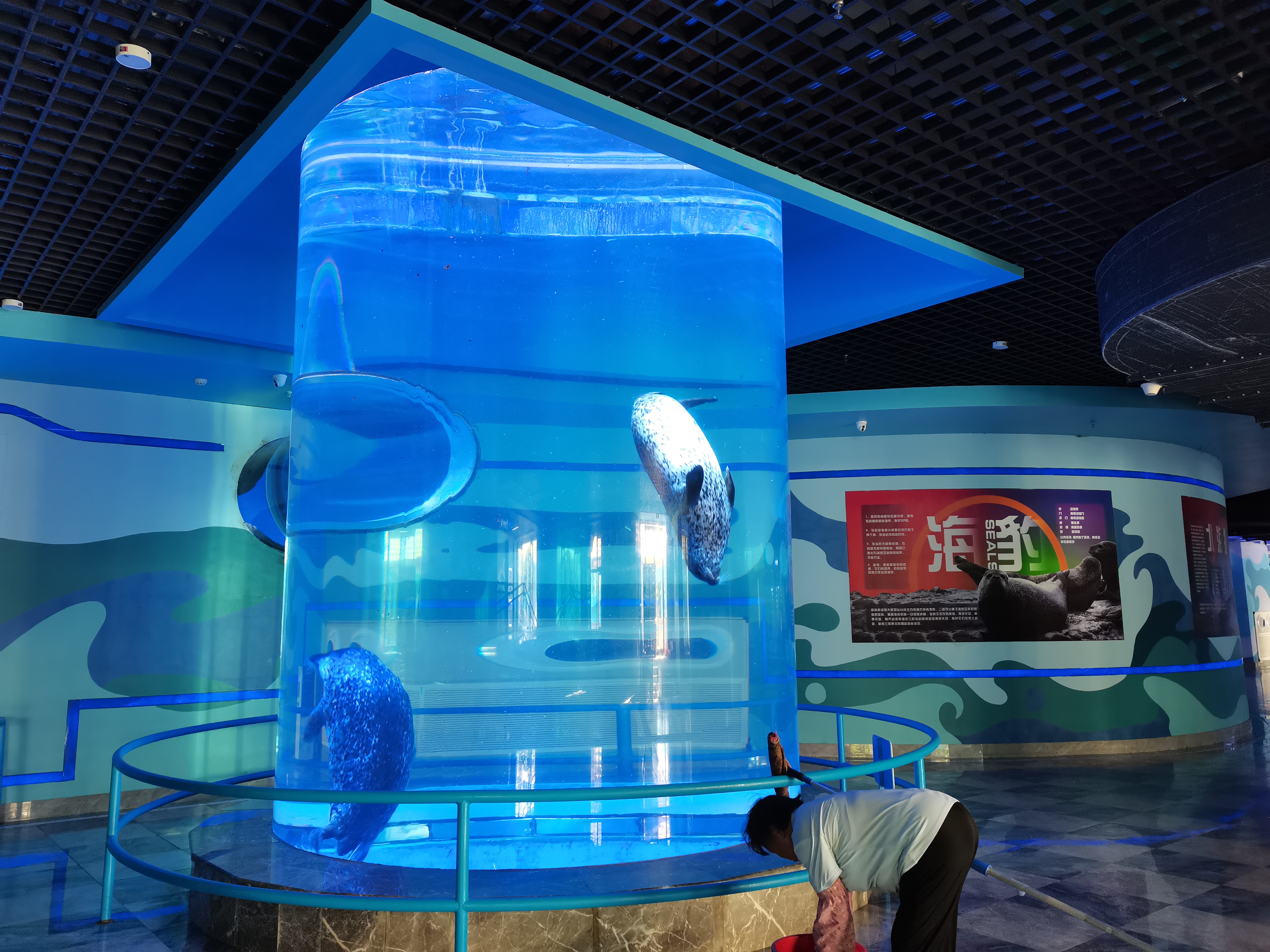 Custom acrylic fish tank - Manufacture