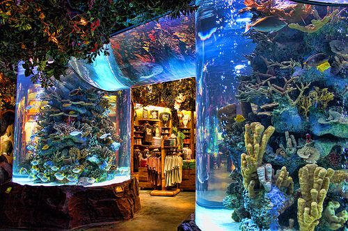 Custom acrylic fish tank - Manufacture