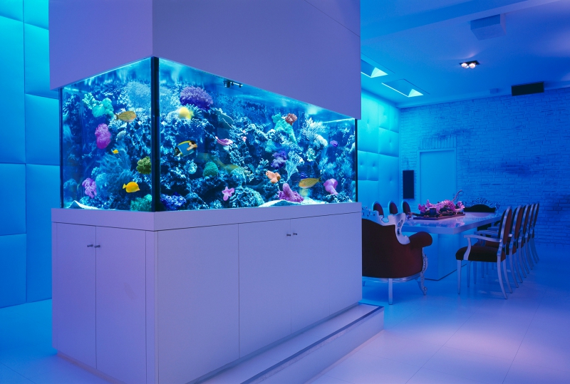 Aquariums Fish Tanks