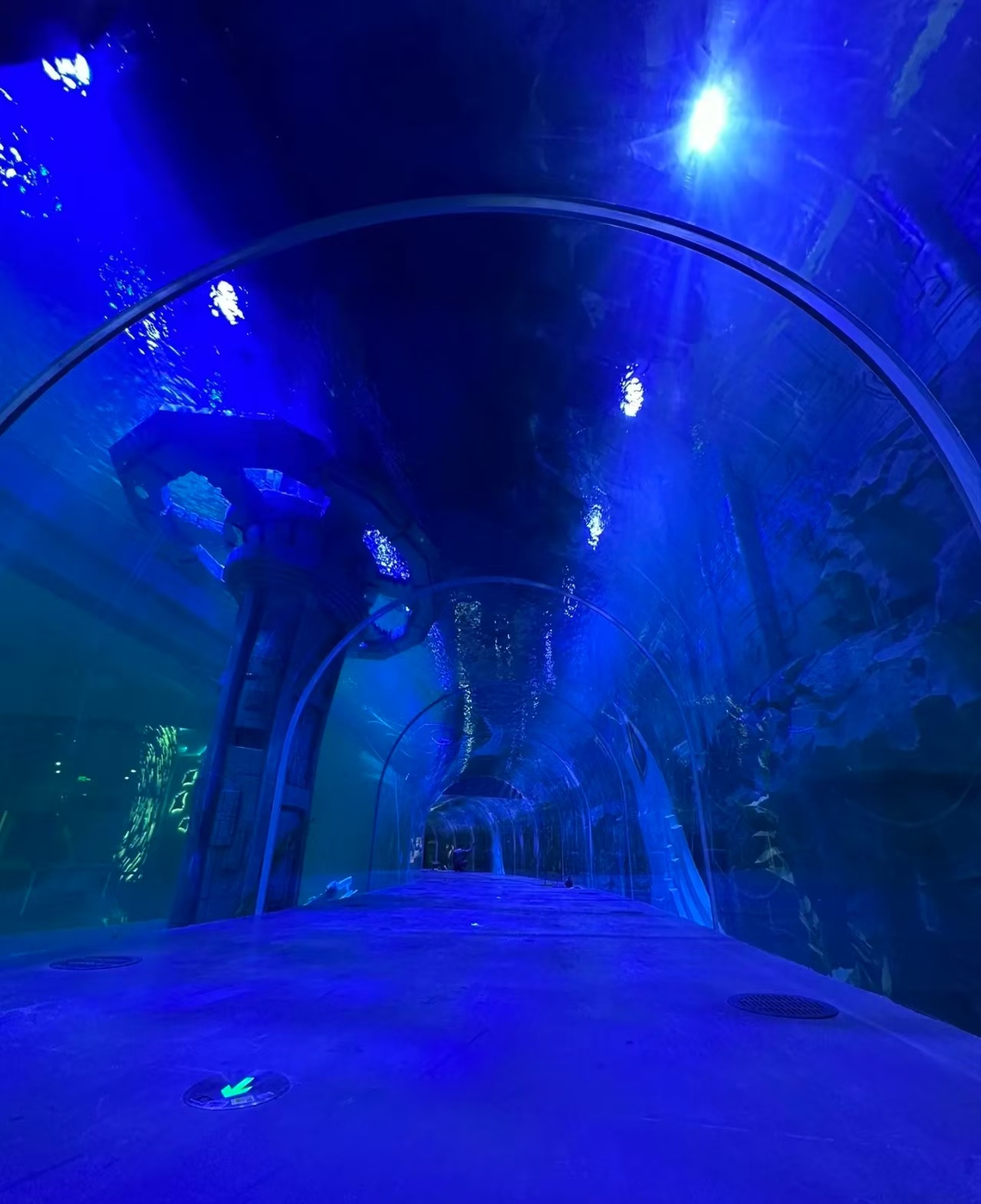 Acrylic tunnel aquarium - LEYU ACRYLIC