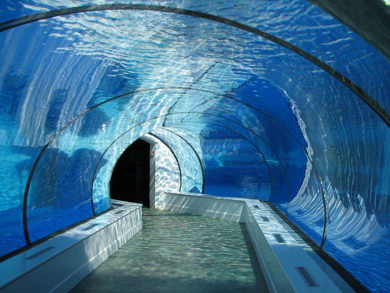 Acrylic tunnel aquarium - LEYU ACRYLIC