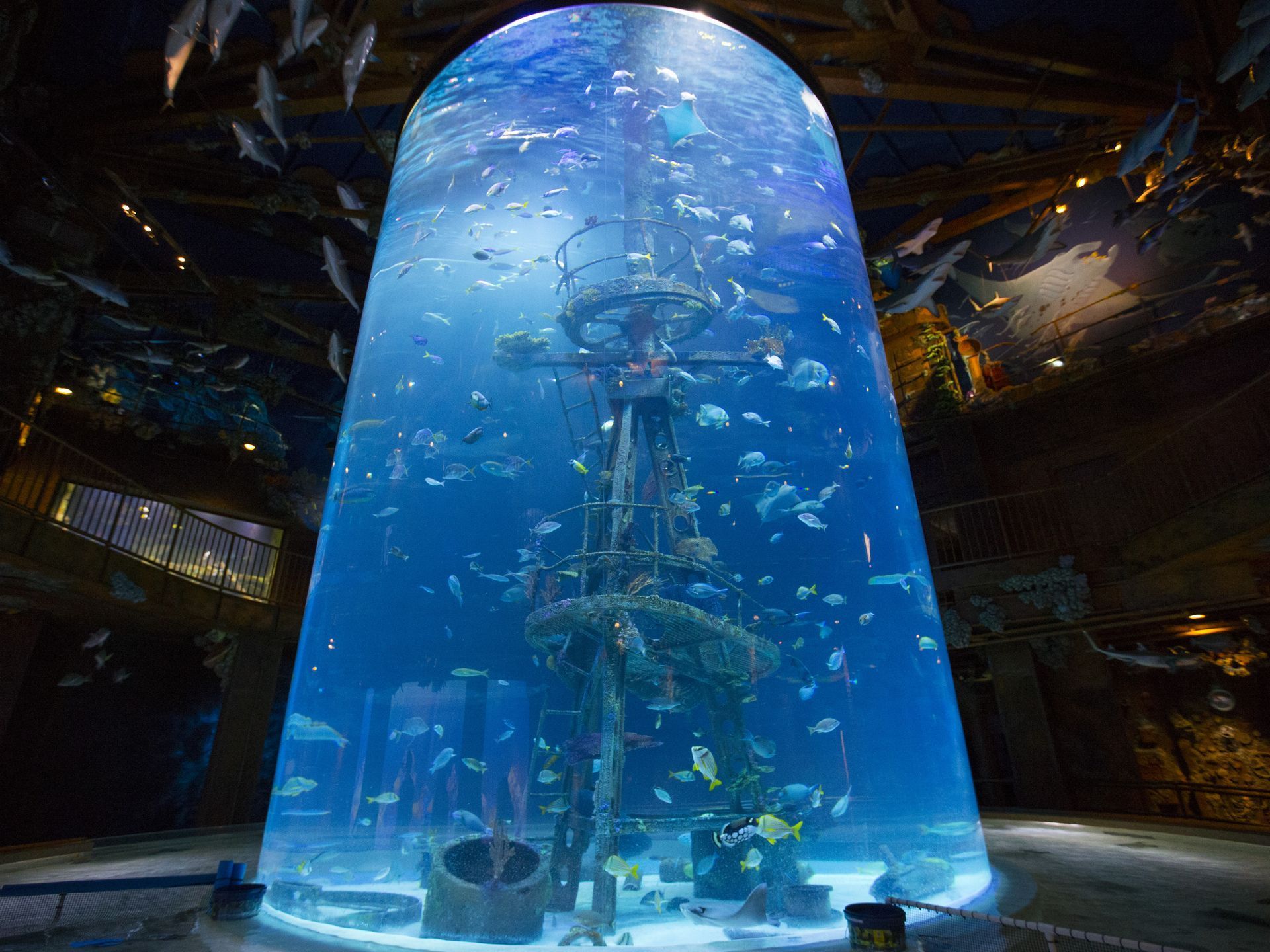 Acrylic cylindrical aquarium - LEYU