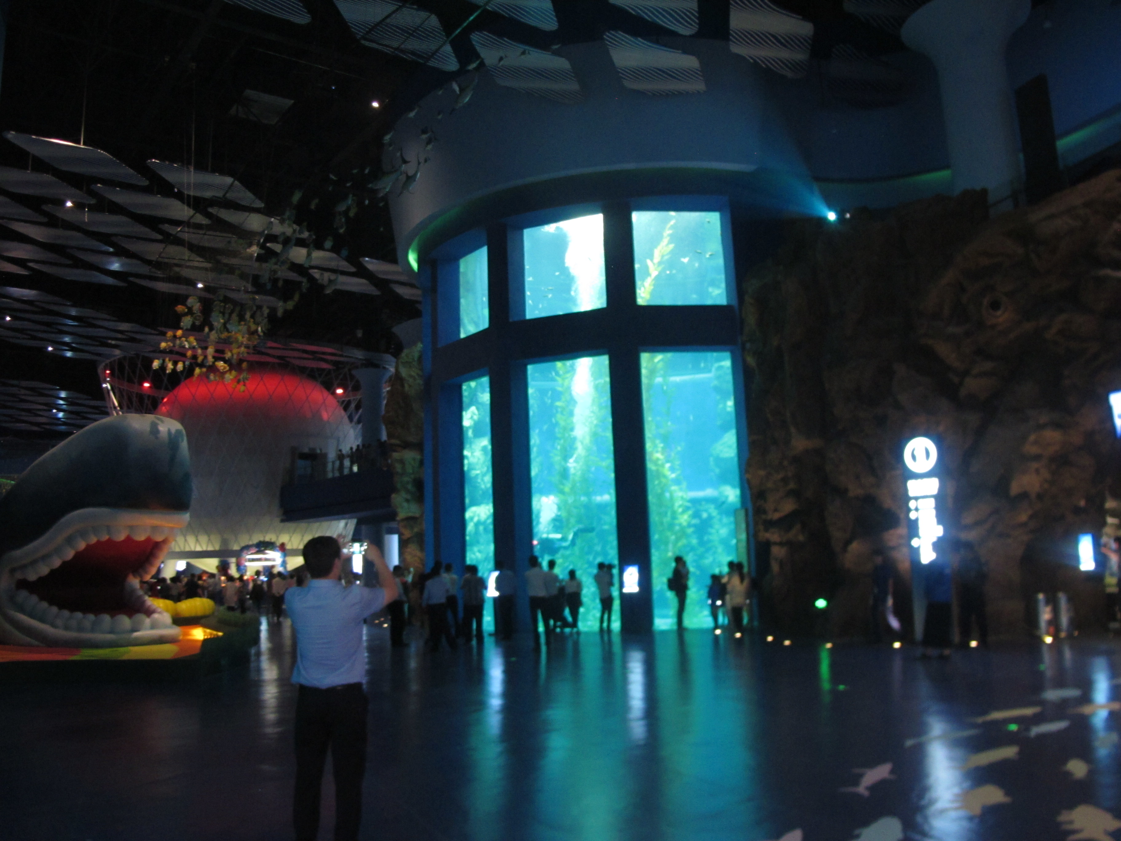 Acrylic cylindrical aquarium - LEYU INSTALLATION