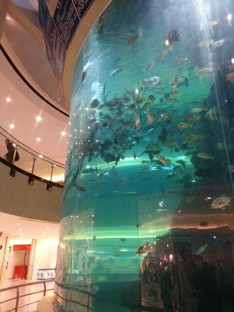 Large acrylic cylinder fish tank - LEYU
