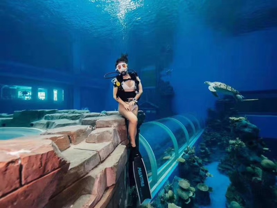 Dali Polar Ocean World - Acrylic Aquarium (2)