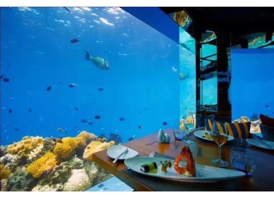 Dali Polar Ocean World - Acrylic Aquarium (3)