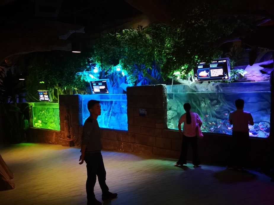 Chongqing Hanhai Polar Ocean World - Leyu Arylic Aquarim