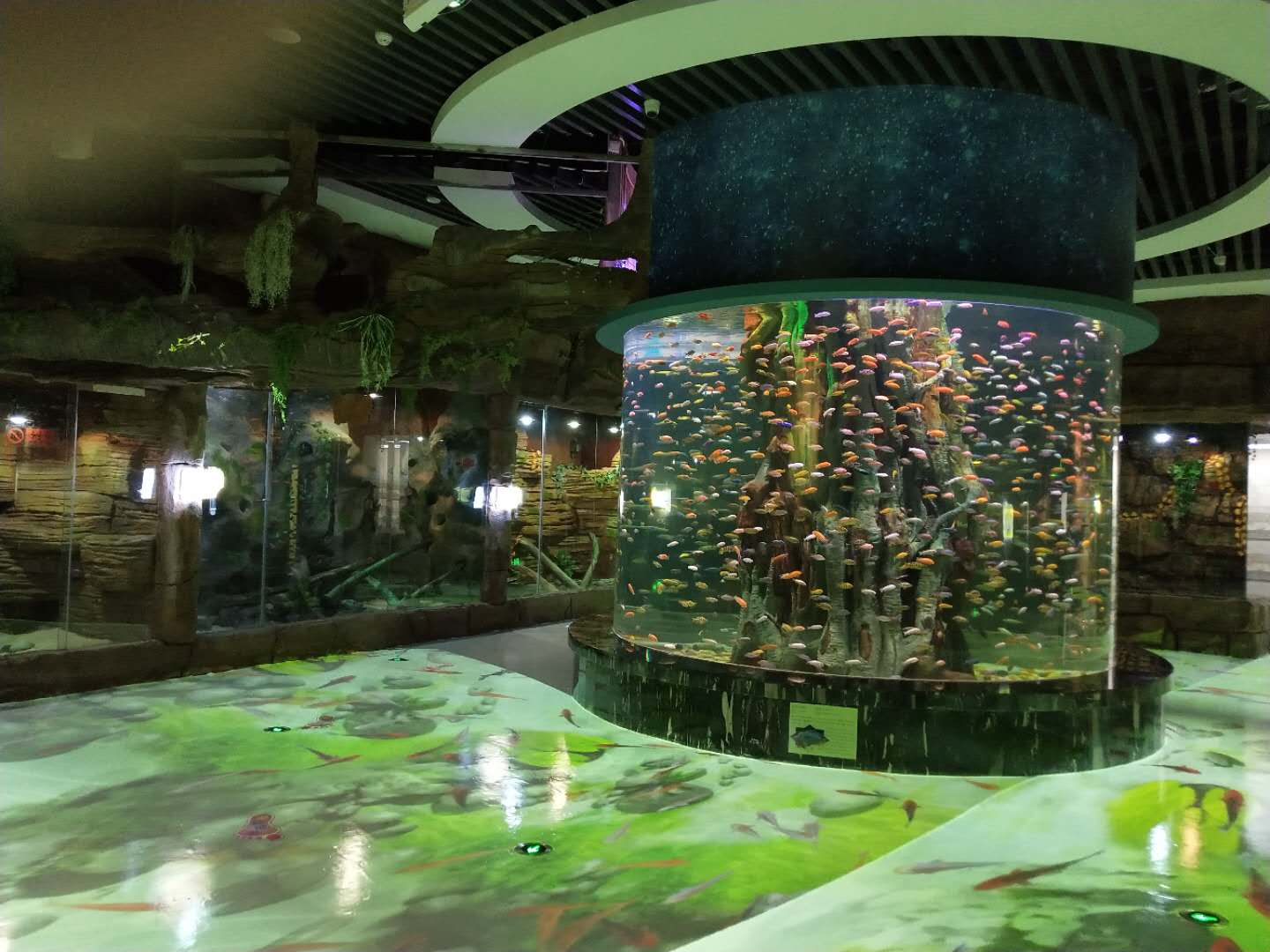 Acrylic cylindrical aquarium - LEYU INSTALLATION