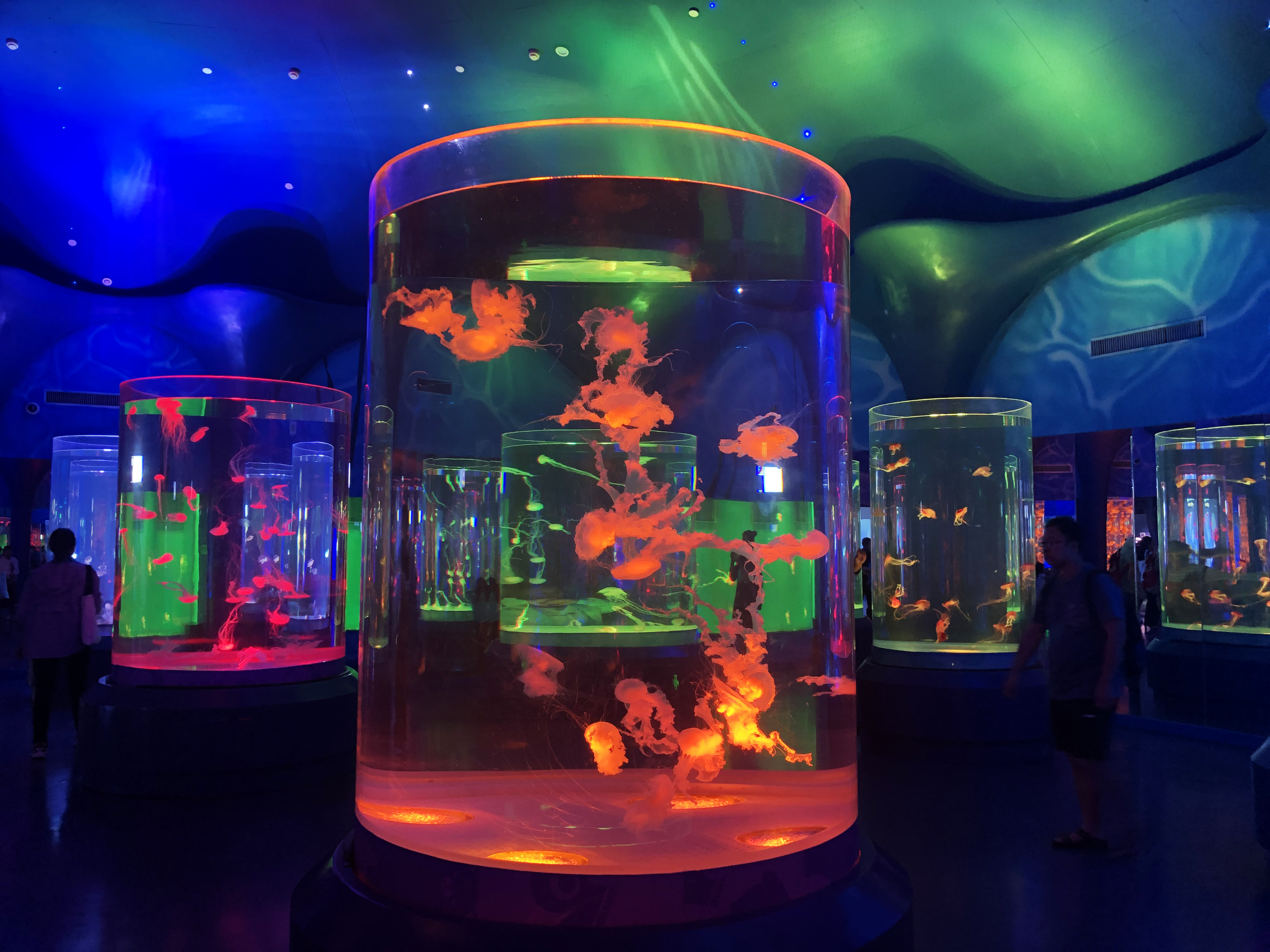 Acrylic fish tank - LEYU