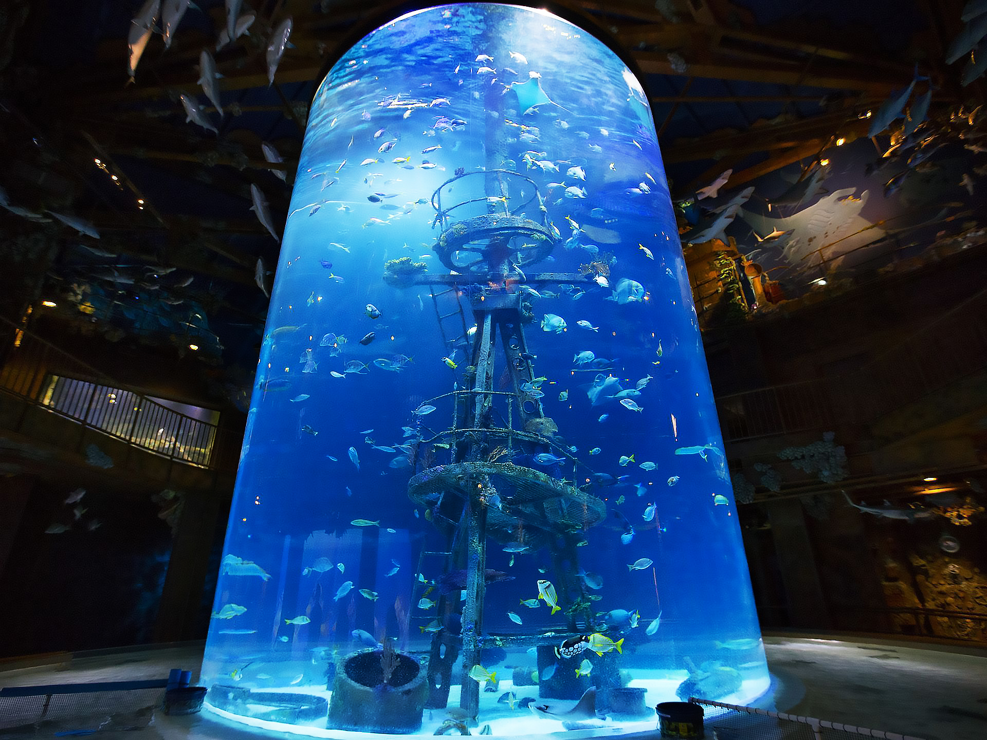 acrylic aquarium