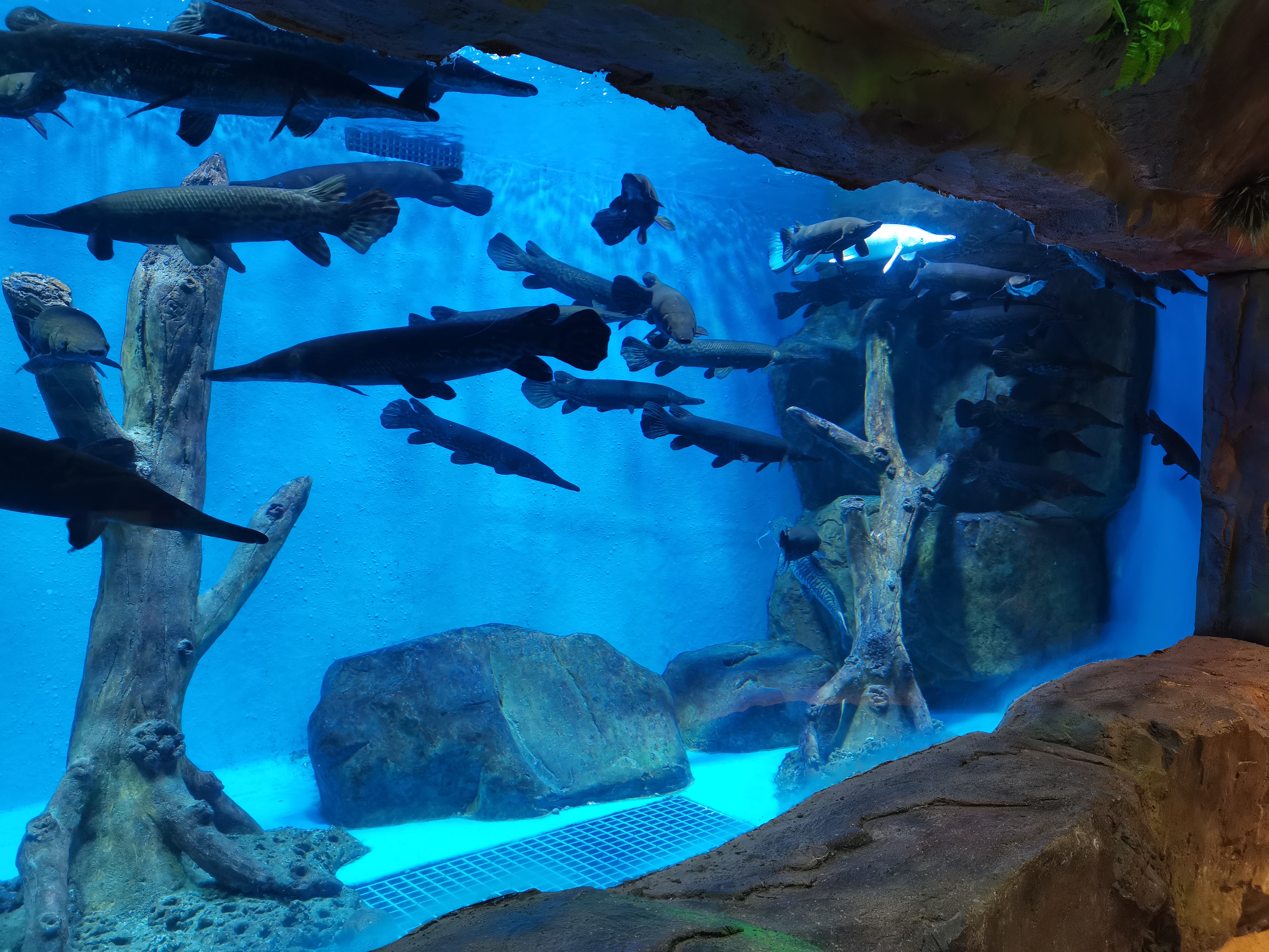 Acrylic aquarium window - manufacture