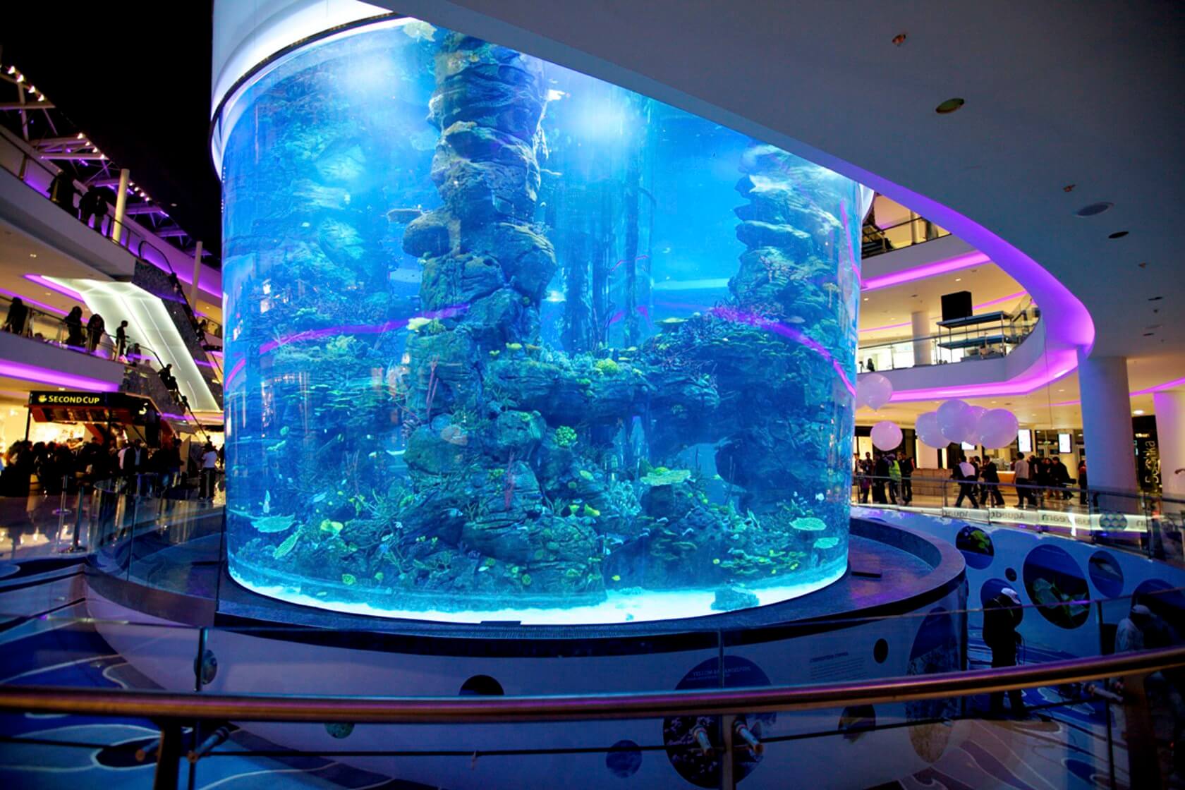 Acrylic transparent cylindrical fish tank