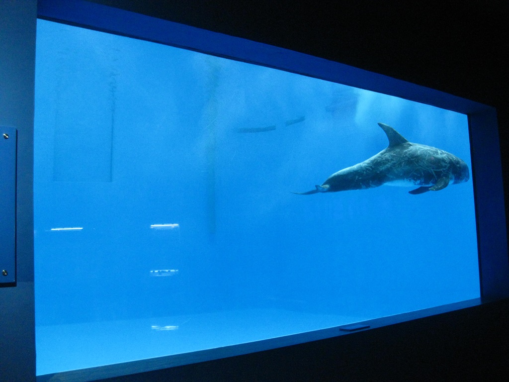Leyu Aquariums Acrylic Window
