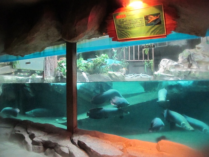 Shandong Penglai Underwater World - Leyu Arylic Aquarim