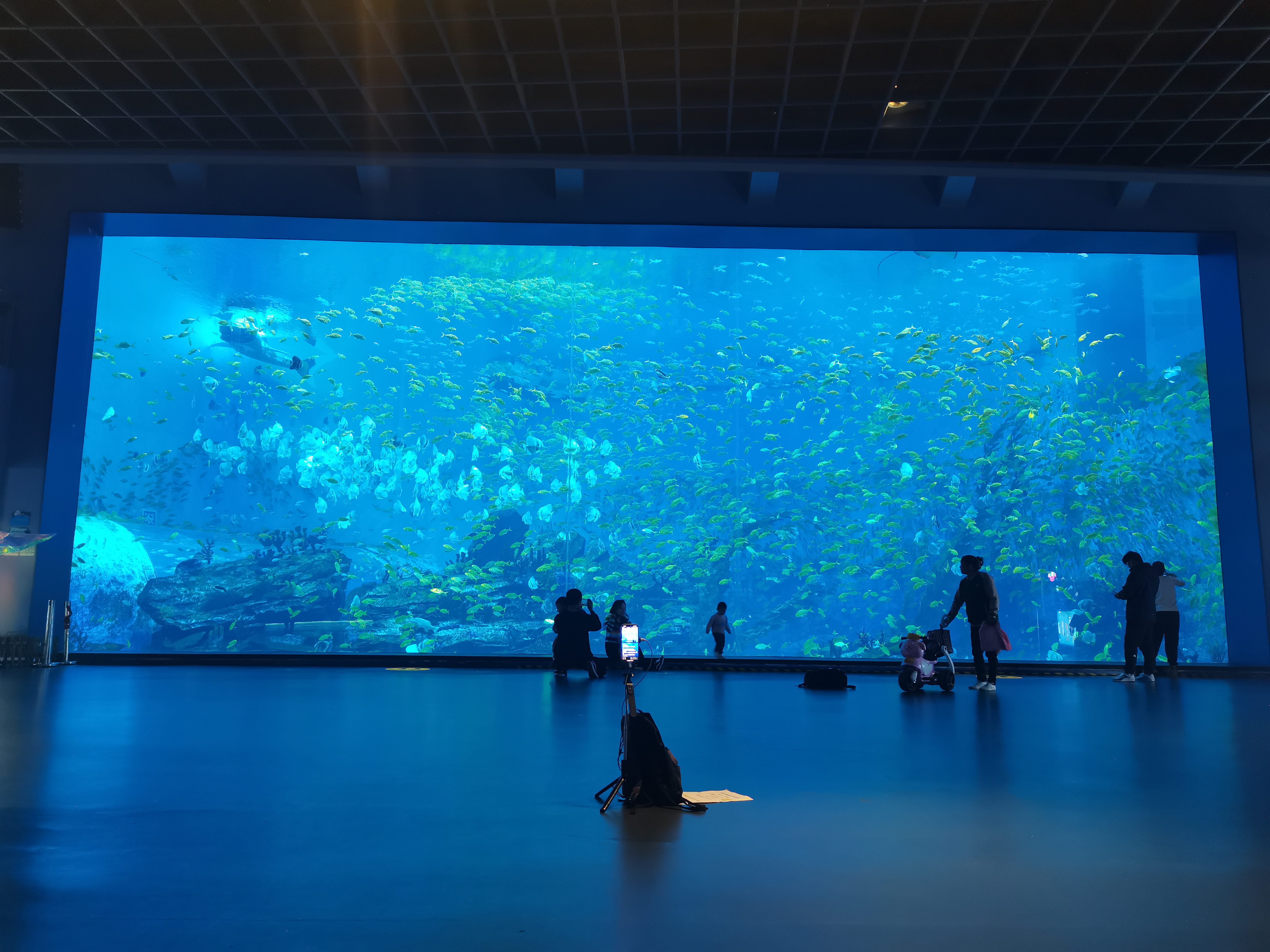 Acrylic window aquarium - LEYU ACRYLIC