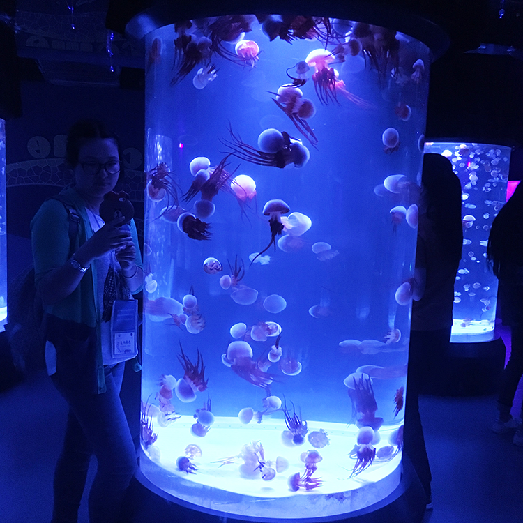 Acrylic aquarium tank