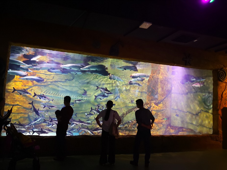 Chongqing Hanhai Polar Ocean World - Leyu Arylic Aquarim Window