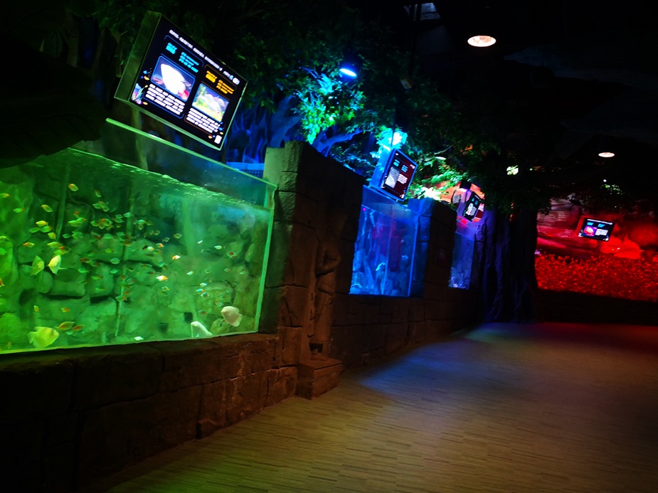 Chongqing Hanhai Polar Ocean World - Leyu Arylic Aquarim (3)