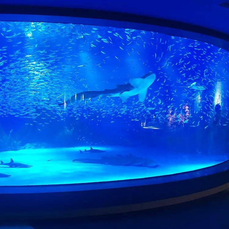 Acrylic View Window For Aquarium - Leyu