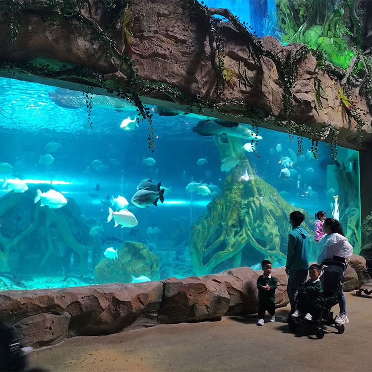 Luxury Design Custom Acrylic View Window For Aquarium