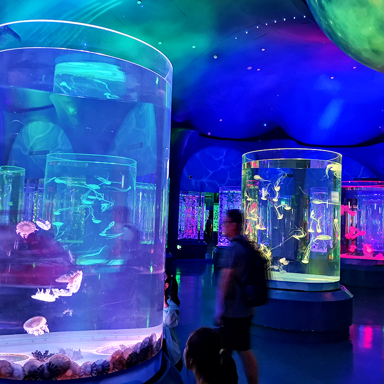 Leyu cylindrical jellyfish tank